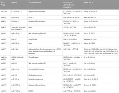 The role of WNT10B in physiology and disease: A 10-year update